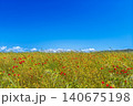 Banner with a sunlit meadow, with vibrant poppies in bloom under a cloudless blue sky, concept of outdoor recreation and travel, camping or agro tourism, copy space for text 140675198