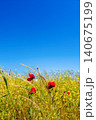 Red poppies on a sunlit meadow against a bright blue sky, a calm, serene atmosphere for outdoor travel and camping or agro tourism, vertical copy space poster 140675199