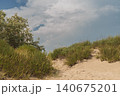 vacation on secluded beaches among sand dunes and sea buckthorn thickets, copy space for a text about the summer vacation season 140675201
