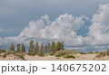 poster with a beautiful view of cumulus clouds over poplar trees and sandy coastal dunes, a copy space for advertising outdoor recreation 140675202