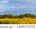 spring farm field with blooming rapeseed, late warm evening, copy space for text about growing crops and caring for nature and ecosystems 140675203