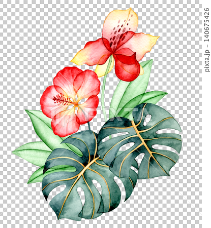 A composition of tropical flowers and leaves. X-ray of plants, watercolor bouquet. A composition of tropical flowers and leaves. X-ray of plants, watercolor bouquet. 140675426