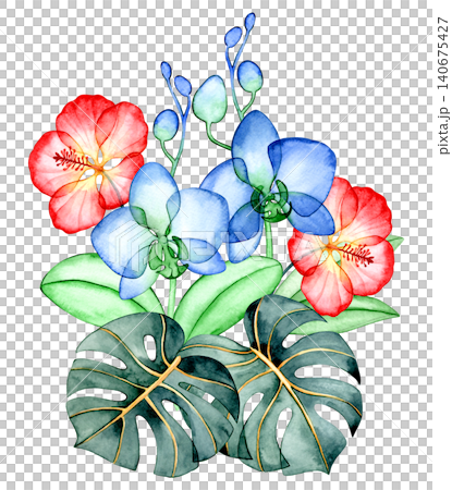 A composition of tropical flowers and leaves. X-ray of plants, watercolor bouquet. A composition of tropical flowers and leaves. X-ray of plants, watercolor bouquet. 140675427