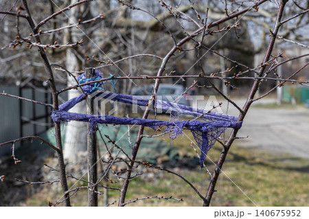 A young tree is supported by a wooden stake and a violet fabric tie in a spring garden, representing careful plant care and agricultural maintenance during early seasonal growth A young tree is supported by a wooden stake and a violet fabric tie in a spring garden, representing careful plant care and agricultural maintenance during early seasonal growth 140675952