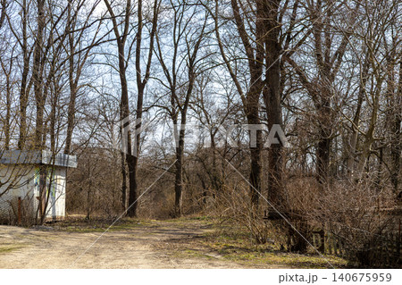 Bare tree forest path with a small weathered building during early spring, evoking a sense of solitude and transition in a quiet nature landscape near a rural or suburban region Bare tree forest path with a small weathered building during early spring, evoking a sense of solitude and transition in a quiet nature landscape near a rural or suburban region 140675959