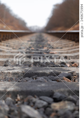 Low angle view of abandoned railway tracks stretching into the horizon, conveying a sense of perspective, journey, and distance during a quiet autumn day in a rural forest landscape 140675994