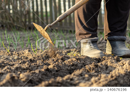 Person using a hand hoe to loosen soil in a garden bed with young green sprouts, highlighting spring planting tasks and agricultural maintenance in a sustainable backyard lifestyle Person using a hand hoe to loosen soil in a garden bed with young green sprouts, highlighting spring planting tasks and agricultural maintenance in a sustainable backyard lifestyle 140676196