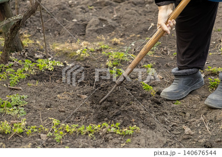 A senior person uses a metal hoe to till dark soil in a rural garden, preparing the land for planting while promoting sustainable agriculture and healthy outdoor lifestyle hobbies A senior person uses a metal hoe to till dark soil in a rural garden, preparing the land for planting while promoting sustainable agriculture and healthy outdoor lifestyle hobbies 140676544