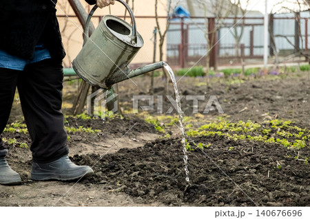 A gardener uses a metal watering can to hydrate dark garden soil in a backyard, illustrating organic farming techniques, sustainable hobby practices, and seasonal growth preparation 140676696