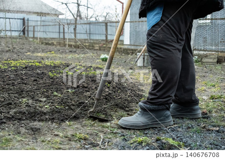 A person using a long-handled hoe to cultivate soil in a garden, emphasizing manual labor, agricultural activity, and the preparation of land for planting during early spring season A person using a long-handled hoe to cultivate soil in a garden, emphasizing manual labor, agricultural activity, and the preparation of land for planting during early spring season 140676708