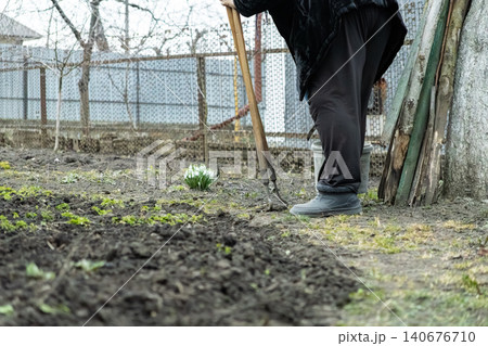 A senior person stands in a vegetable garden holding a long handled metal hoe during spring, conveying the quiet persistence of agricultural labor and seasonal preparation of soil A senior person stands in a vegetable garden holding a long handled metal hoe during spring, conveying the quiet persistence of agricultural labor and seasonal preparation of soil 140676710