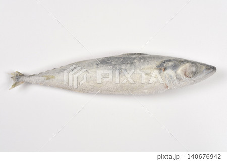 Single Frozen Chub Mackerel Fish on White Background Single Frozen Chub Mackerel Fish on White Background 140676942