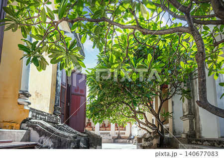 Beautiful Scenic View Through Plumeria Tree Branches at Prasat Nakhon Luang, Ayutthaya, Thailand Beautiful Scenic View Through Plumeria Tree Branches at Prasat Nakhon Luang, Ayutthaya, Thailand 140677083
