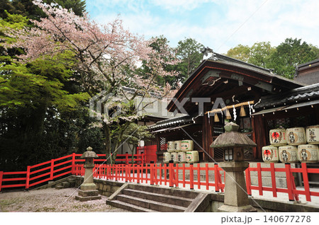 春の建勲神社 春の建勲神社 140677278