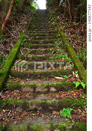 伊豆半島　伊豆山稜線歩道の船原峠　仁科峠方面への登山口 140677342