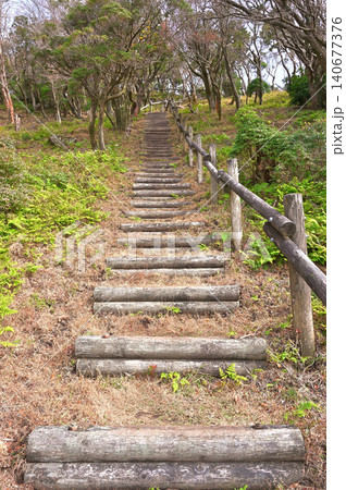 伊豆半島の伊豆山稜線歩道 魂ノ山へ登る森の中の階段の山道 伊豆半島の伊豆山稜線歩道 魂ノ山へ登る森の中の階段の山道 140677376