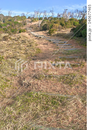 伊豆半島の伊豆山稜線歩道 魂ノ山 宇久須峠の草原の尾根道 伊豆半島の伊豆山稜線歩道 魂ノ山 宇久須峠の草原の尾根道 140677465