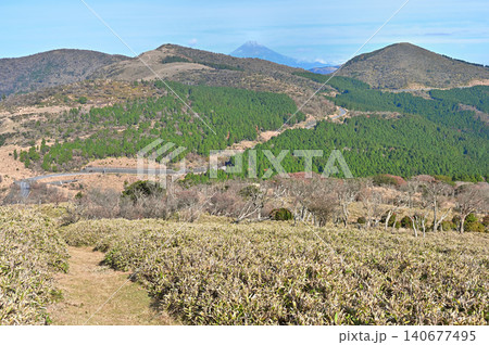 伊豆半島の伊豆山稜線歩道 風早峠の高台からの展望 富士山とミソウ台と魂ノ山 伊豆半島の伊豆山稜線歩道 風早峠の高台からの展望 富士山とミソウ台と魂ノ山 140677495