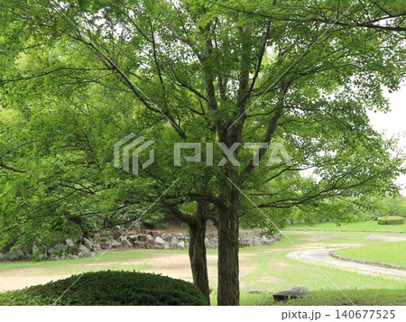 駅から近い大きな西神中央公園 駅から近い大きな西神中央公園 140677525