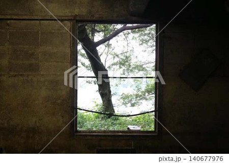 小屋から見た外の風景 140677976