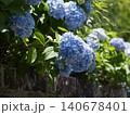 紫陽花 140678401