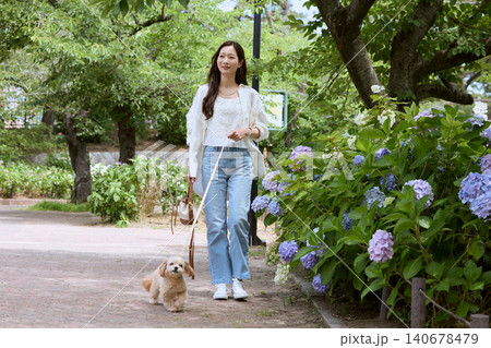 紫陽花が咲く公園で愛犬と散歩する若い女性 紫陽花が咲く公園で愛犬と散歩する若い女性 140678479