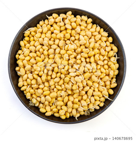 Top view of germinated yellow soybeans with tiny sprouts in a black bowl isolated on white background Top view of germinated yellow soybeans with tiny sprouts in a black bowl isolated on white background 140678695
