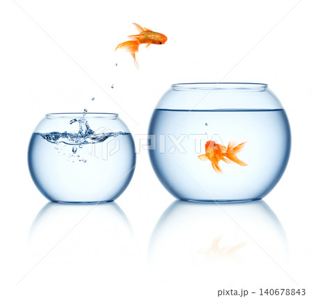 Goldfish jumps out Goldfish jumps out 140678843