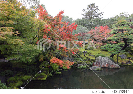 由志園の紅葉 140678944