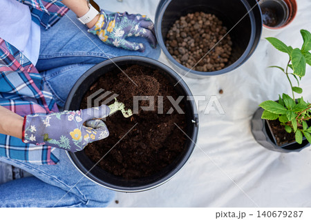 Woman scooping soil for repotting plants Woman scooping soil for repotting plants 140679287