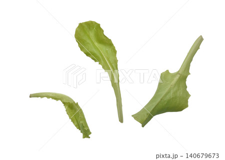 Green lettuce leaves. 140679673
