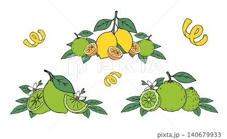 Citrus Fruit Composition Collection with Lime Lemon Bergamot Leaves and Decorative Peel Accents 140679933