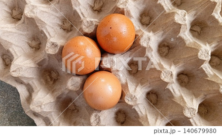 Fresh Brown Egg in Recycled Paper Egg Tray Close Up Fresh Brown Egg in Recycled Paper Egg Tray Close Up 140679980