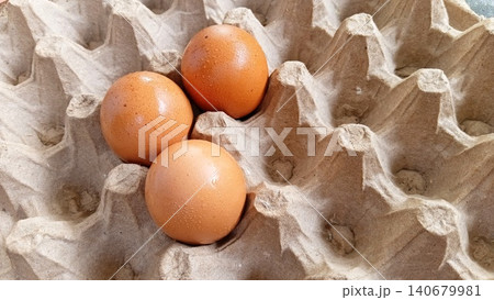 Fresh Brown Egg in Recycled Paper Egg Tray Close Up Fresh Brown Egg in Recycled Paper Egg Tray Close Up 140679981