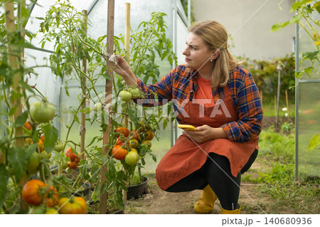 Young woman farmer working with smartphone in greenhouse garden Young woman farmer working with smartphone in greenhouse garden 140680936