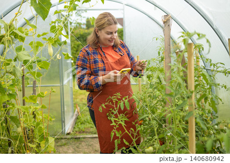 Young woman farmer working with smartphone in greenhouse garden Young woman farmer working with smartphone in greenhouse garden 140680942