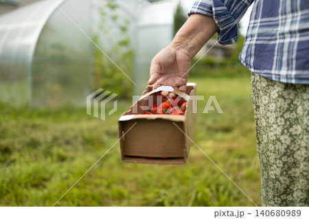 Senior woman gardener carrying small wooden box with harvest near greenhouse in village 140680989