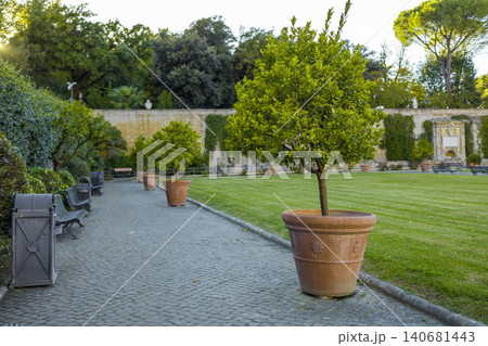 Potted tree on paved walkway in historic palace garden Potted tree on paved walkway in historic palace garden 140681443