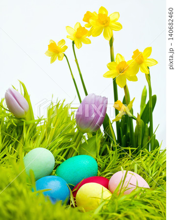 Easter, flowers and eggs on grass in studio for celebration, kids fun and creative with candy. Culture, tradition and chocolate on lawn with color for hunt Good Friday, festive and christian holiday Easter, flowers and eggs on grass in studio for celebration, kids fun and creative with candy. Culture, tradition and chocolate on lawn with color for hunt Good Friday, festive and christian holiday 140682460