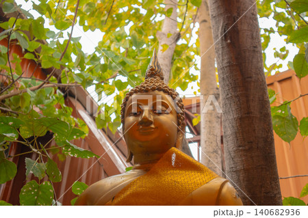 Buddha statue temple courtyard tree leaf golden robe serenity beneath green canopy, low angle view with warm light, spiritual landmark, calm meditation mood Buddha statue temple courtyard tree leaf golden robe serenity beneath green canopy, low angle view with warm light, spiritual landmark, calm meditation mood 140682936