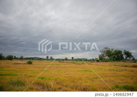 Grassland farmland meadow field overcast sky cloud landscape with golden harvested crop, distant hill and tree line under moody gray weather, calm rural nature scene with wide copy space 140682947
