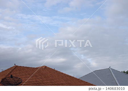 Roof rooftop tile sky cloud house architecture bird over suburban neighborhood, red terracotta and gray ceramic roofing under soft overcast daylight, calm weather, copy space 140683010
