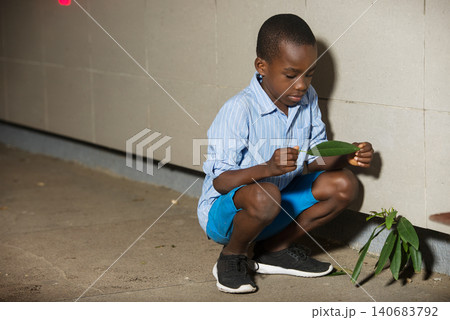 portrait of a young boy with leaf. 140683792