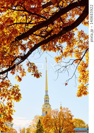 The golden spire of the Peter and Paul Fortress through yellow leaves in Saint-Petersburg - Russia at sunny autumn day, cross with angel on spire, red leaves, sunset, clear sky 140683922