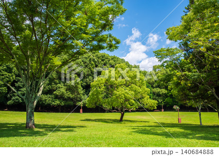 緑溢れる夏の公園《三重県 四日市市 南部丘陵公園》 緑溢れる夏の公園《三重県 四日市市 南部丘陵公園》 140684888