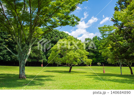 緑溢れる夏の公園《三重県 四日市市 南部丘陵公園》 緑溢れる夏の公園《三重県 四日市市 南部丘陵公園》 140684890