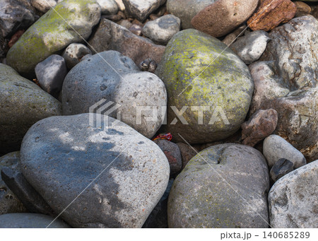 Sally Lightfoot crab among basalt boulders on Madeira coast 140685289