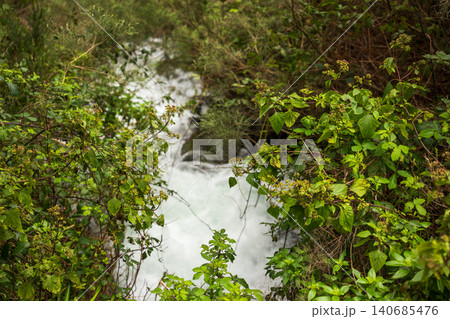 Narrow fast stream in Madeira laurel forest with foaming white water 140685476