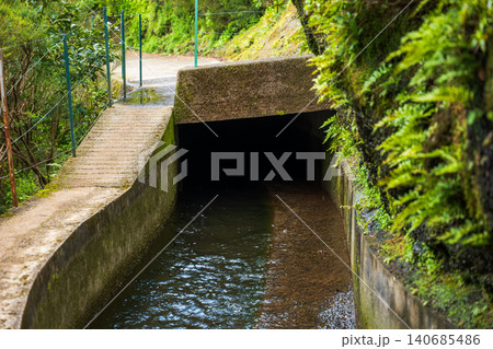 Levada and footpath lead to tunnel in Madeira laurel forest after rain 140685486