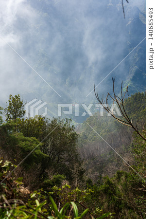 Misty Madeira valley from forested overlook near Curral das Freiras 140685493